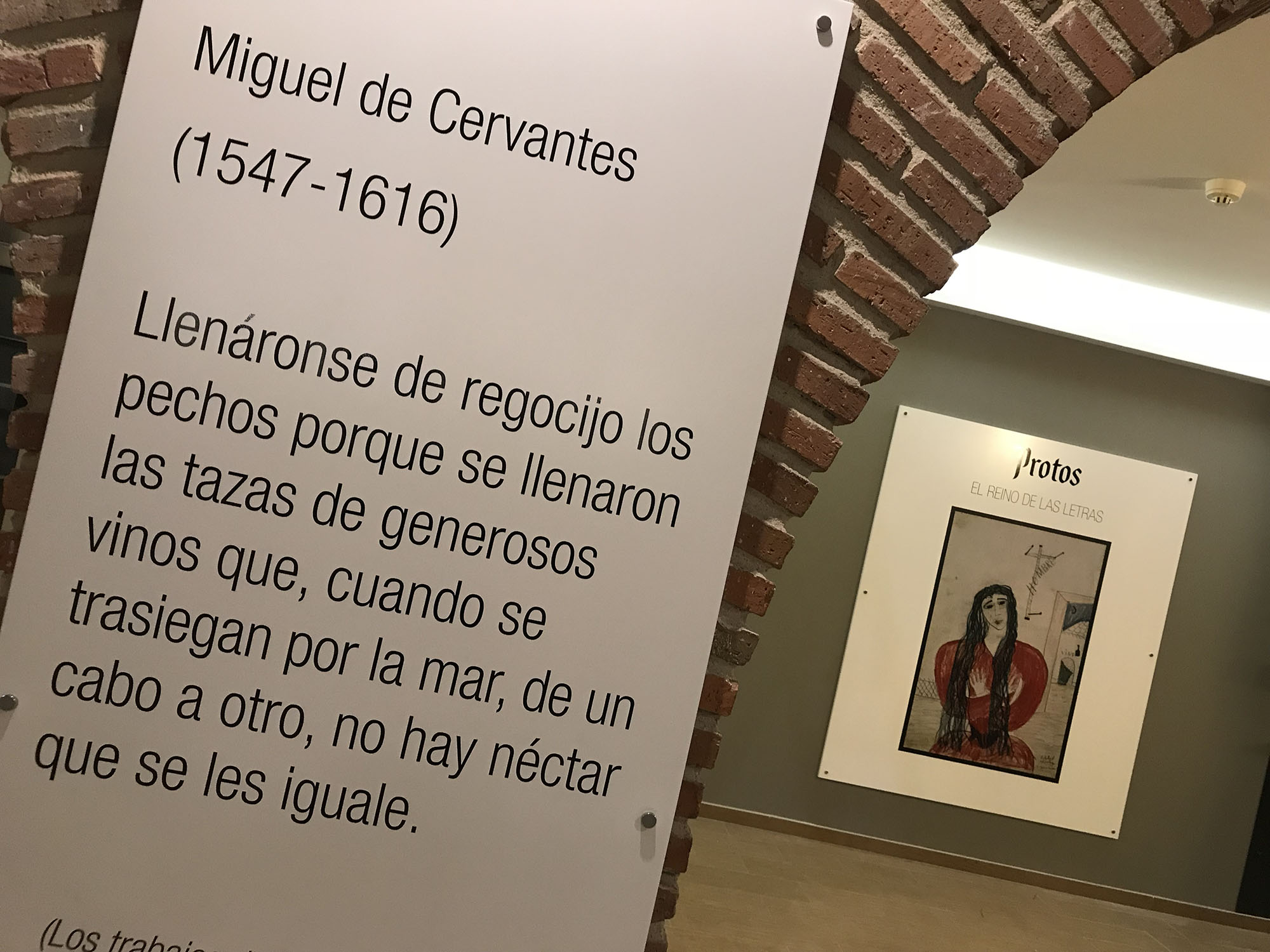 Diseño de Interior Bodega Reino de las letras Protos - Bodegas Protos
