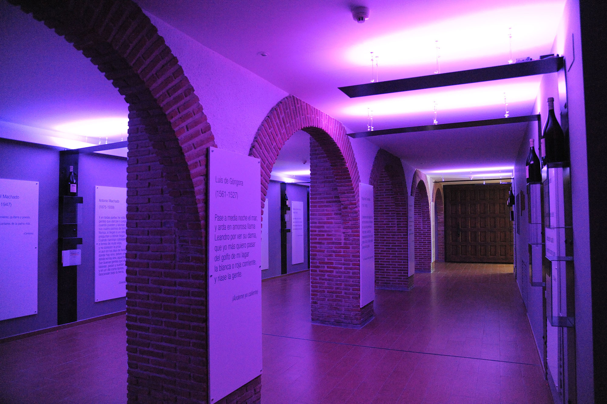 Diseño de Interior Bodega Reino de las letras Protos - Bodegas Protos